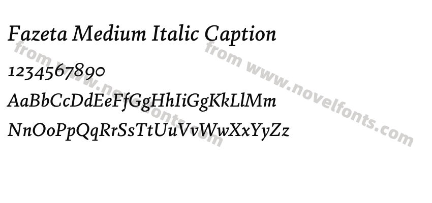 Fazeta Medium Italic CaptionPreview