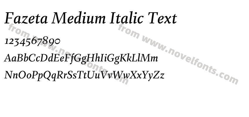 Fazeta Medium Italic TextPreview