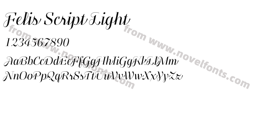 Felis Script LightPreview