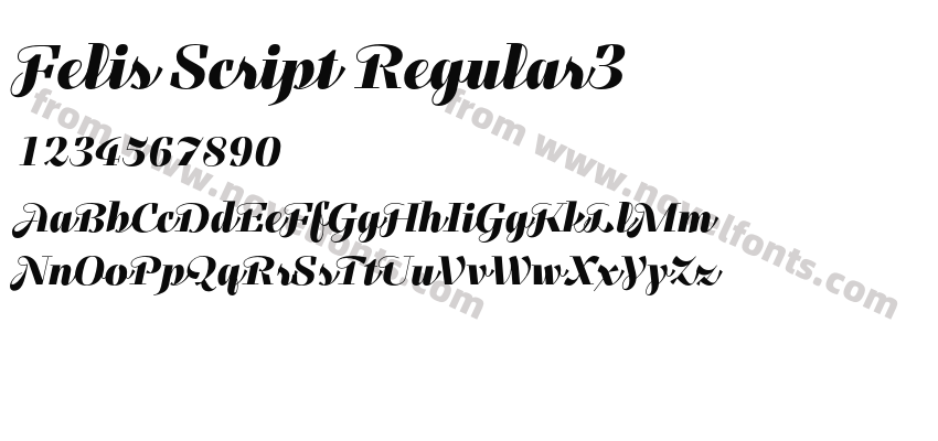 Felis Script Regular3Preview
