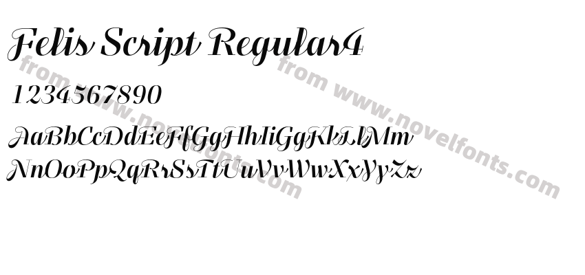 Felis Script Regular4Preview