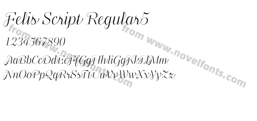Felis Script Regular5Preview