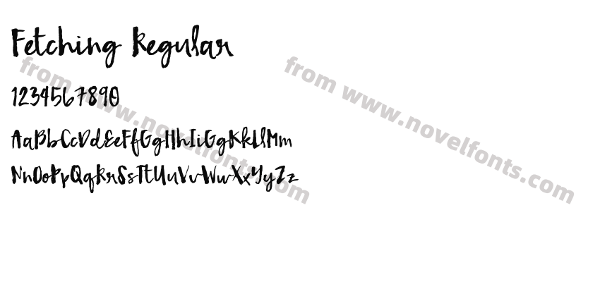 Fetching RegularPreview
