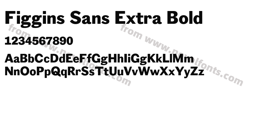 Figgins Sans Extra BoldPreview