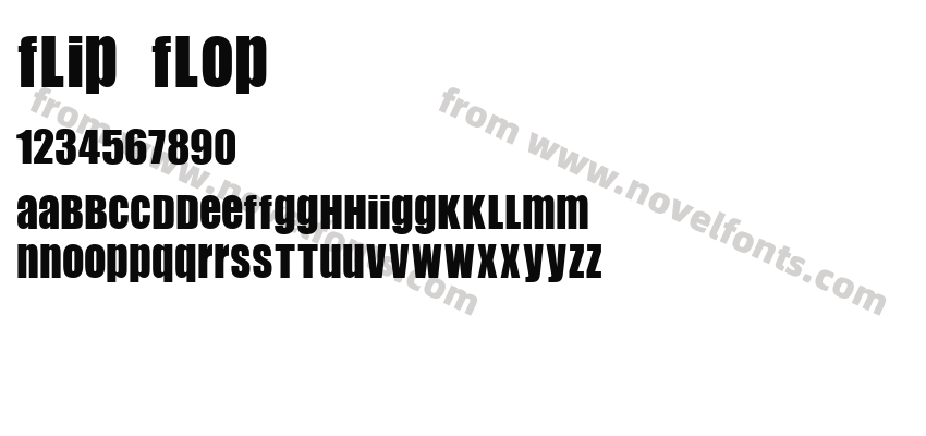 Flip FlopPreview