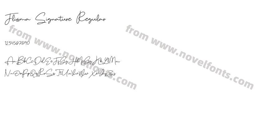 Flisma Signature RegularPreview
