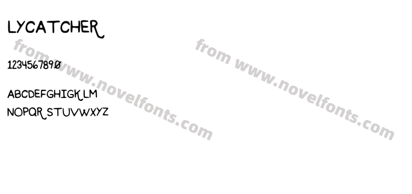 FlycatcherPreview