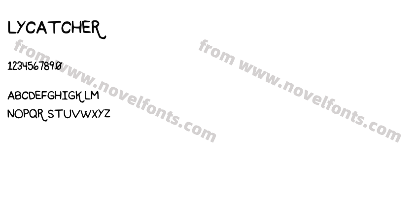 FlycatcherPreview