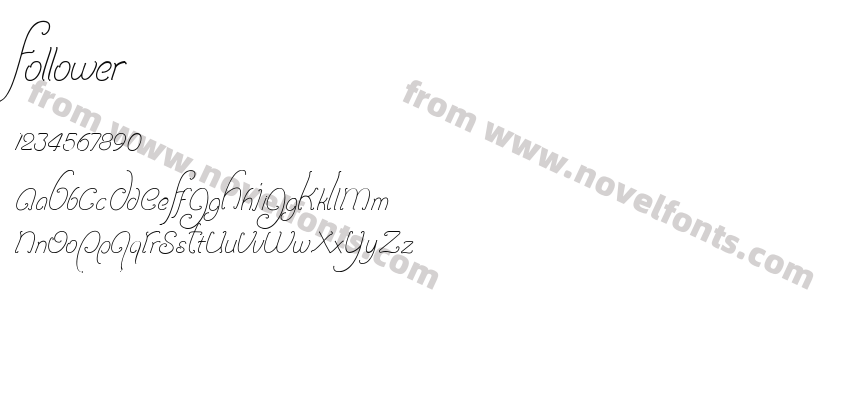 FollowerPreview