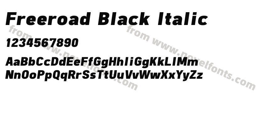 Freeroad Black ItalicPreview