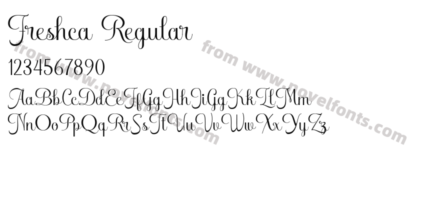 Freshca RegularPreview