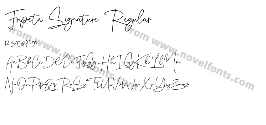 Fripeta Signature RegularPreview