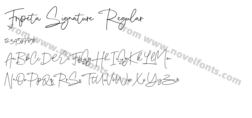Fripeta Signature RegularPreview