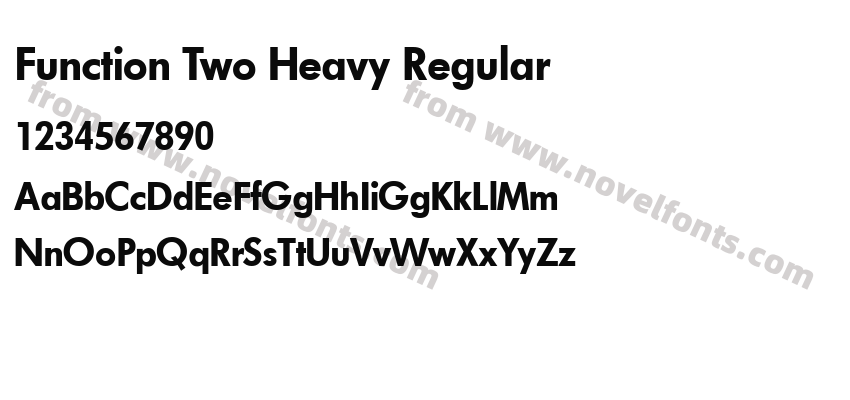 Function Two Heavy RegularPreview