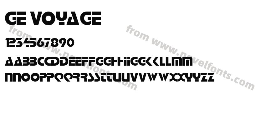 GE VoyagePreview