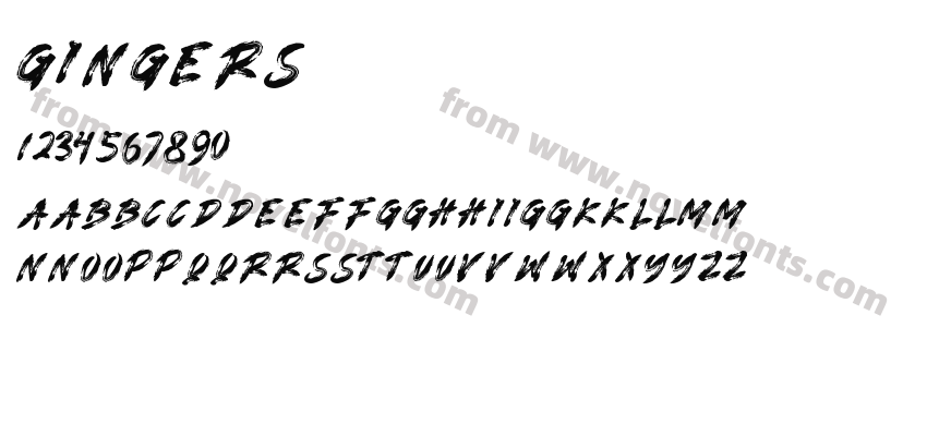 GINGERSPreview