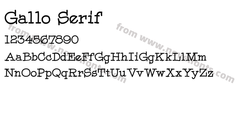 Gallo SerifPreview