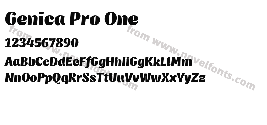 Genica Pro OnePreview