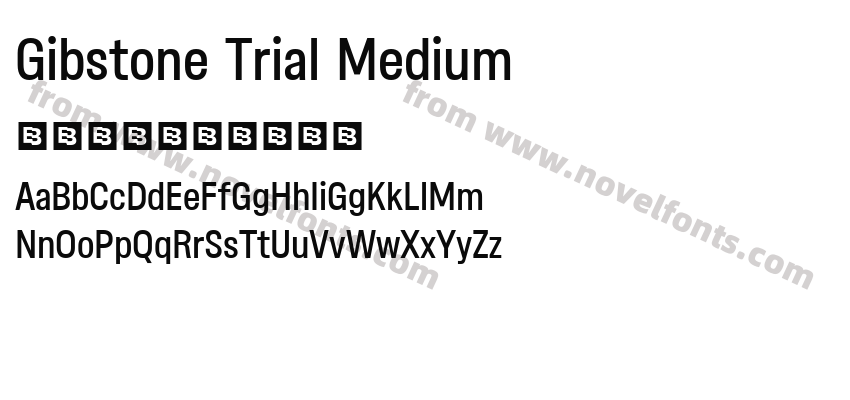 Gibstone Trial MediumPreview