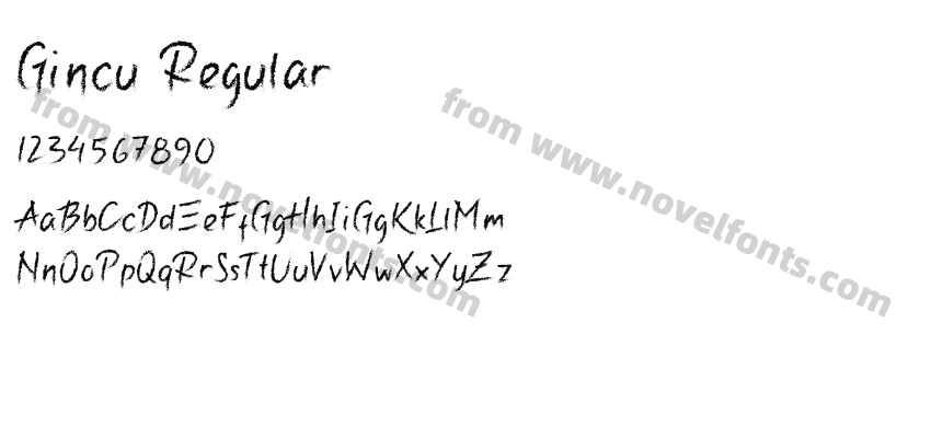 Gincu RegularPreview