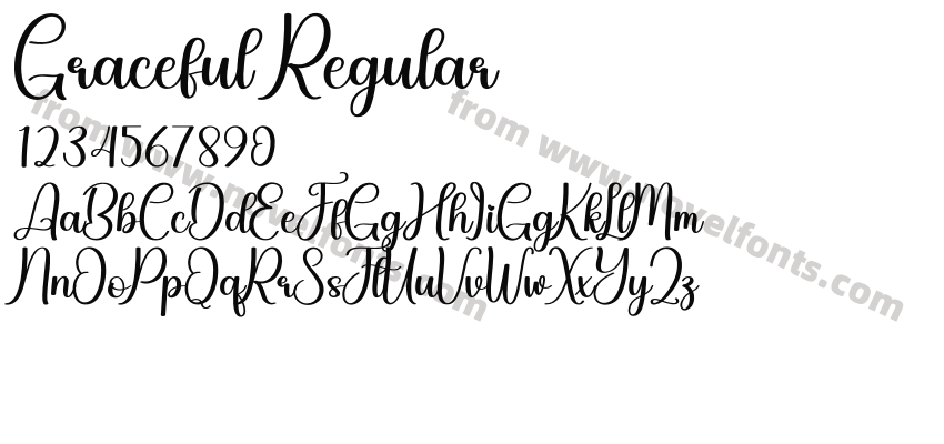 Graceful RegularPreview