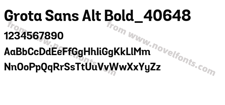 Grota Sans Alt Bold_40648Preview