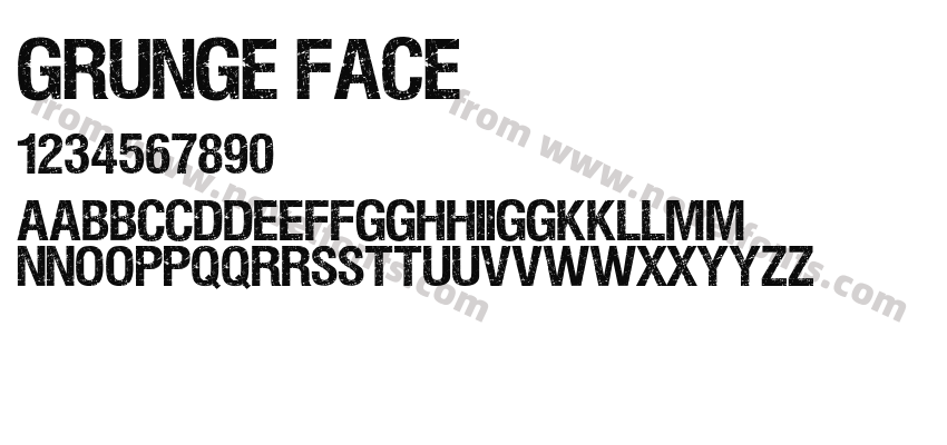 Grunge FacePreview