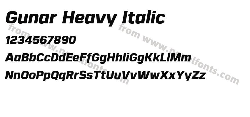 Gunar Heavy ItalicPreview