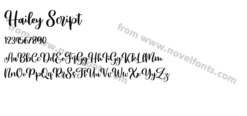 Hailey ScriptPreview