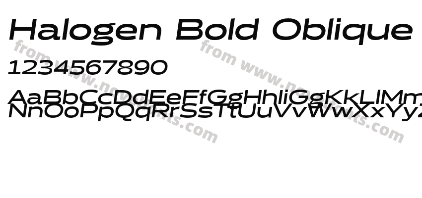 Halogen Bold ObliquePreview