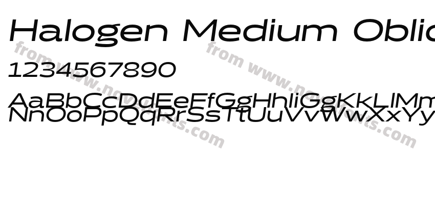 Halogen Medium ObliquePreview