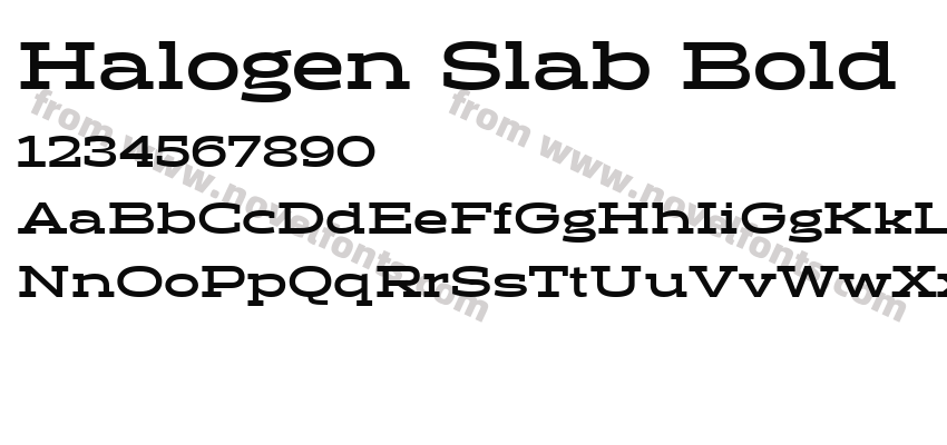 Halogen Slab BoldPreview