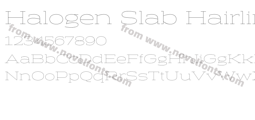Halogen Slab HairlinePreview