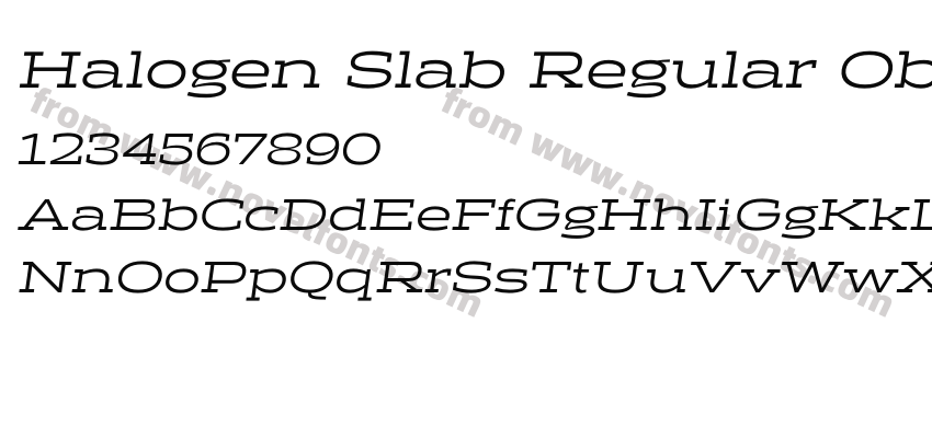 Halogen Slab Regular ObliquePreview