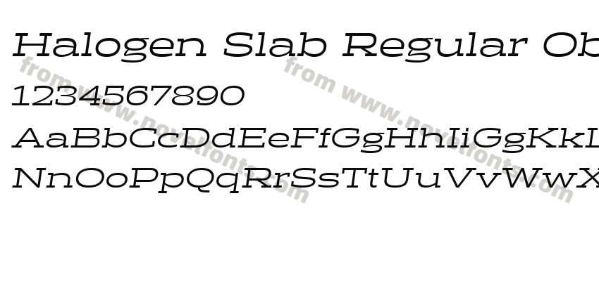 Halogen Slab Regular ObliquePreview