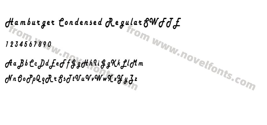 Hamburger Condensed RegularSWFTEPreview