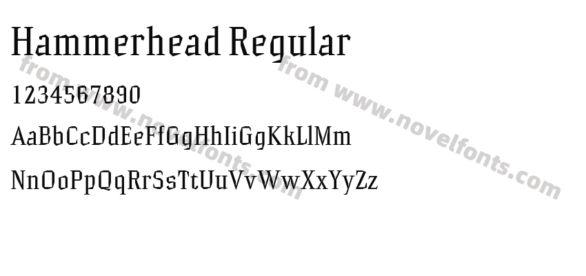 Hammerhead RegularPreview