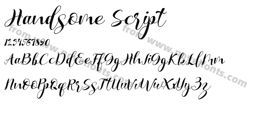 Handsome ScriptPreview