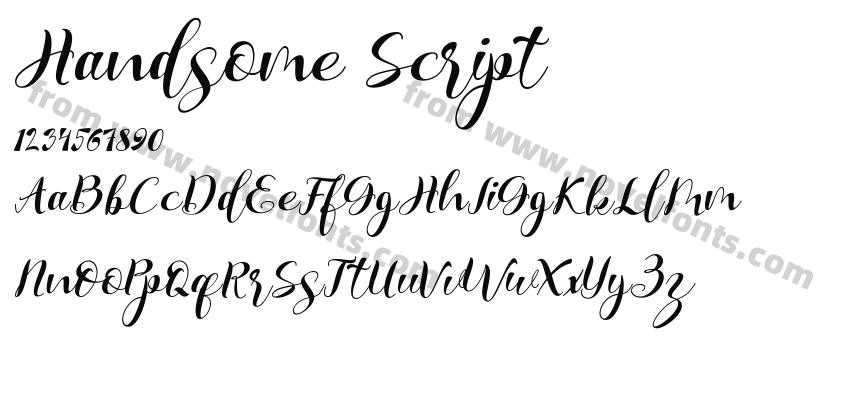 Handsome ScriptPreview