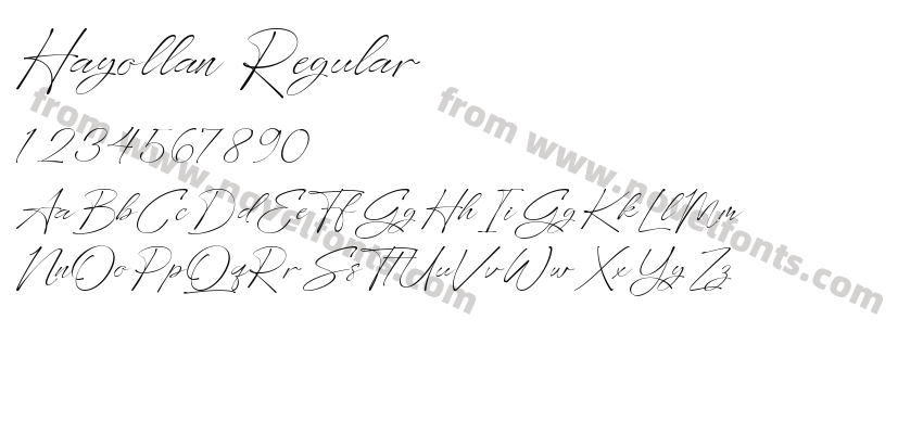 Hayollan RegularPreview