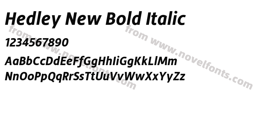 Hedley New Bold ItalicPreview