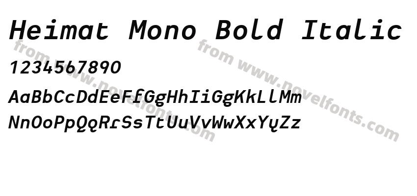 Heimat Mono Bold ItalicPreview