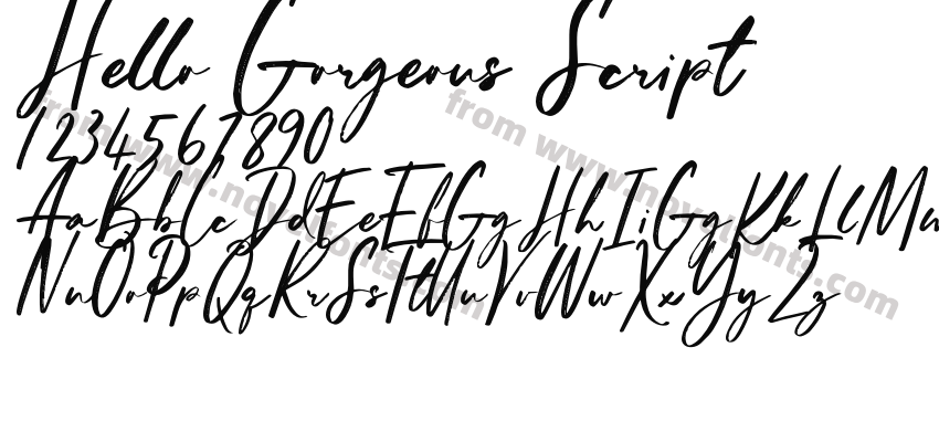 Hello Gorgeous ScriptPreview