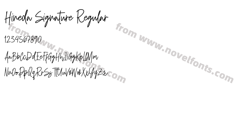 Hineda Signature RegularPreview
