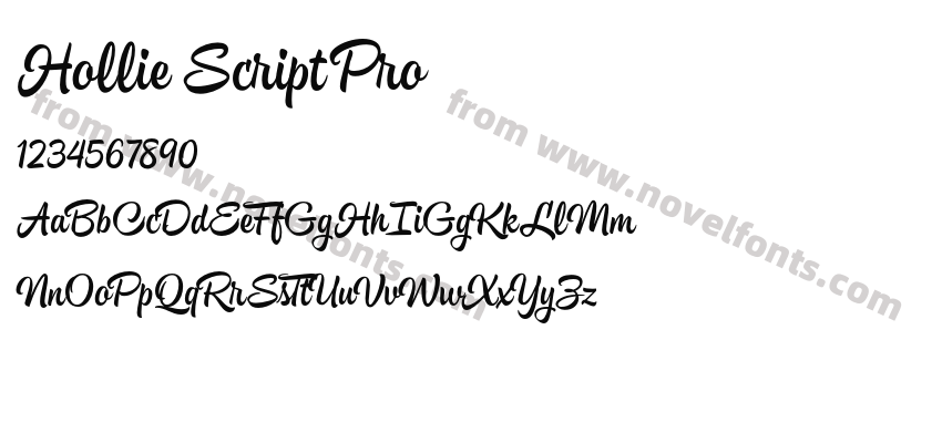 Hollie Script ProPreview