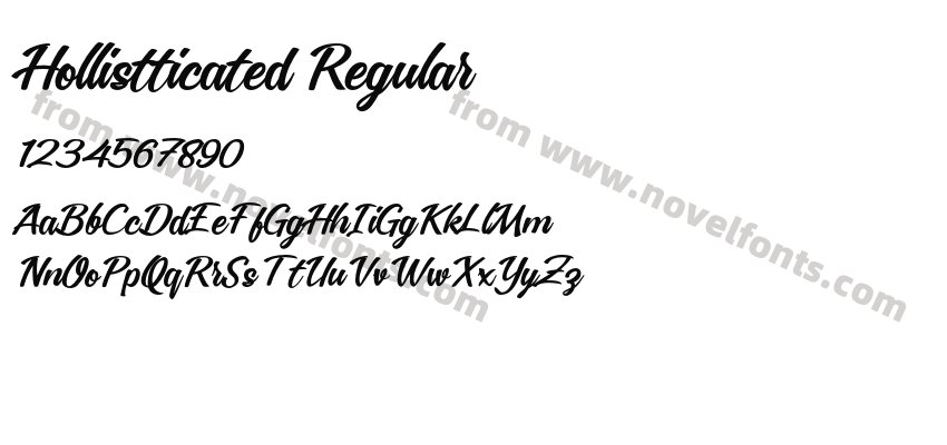 Hollistticated RegularPreview