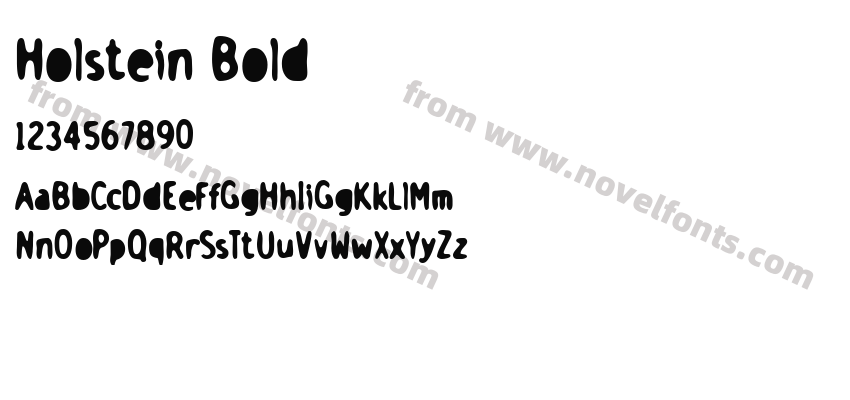 Holstein BoldPreview