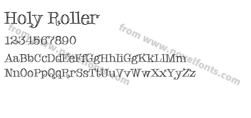 Holy RollerPreview
