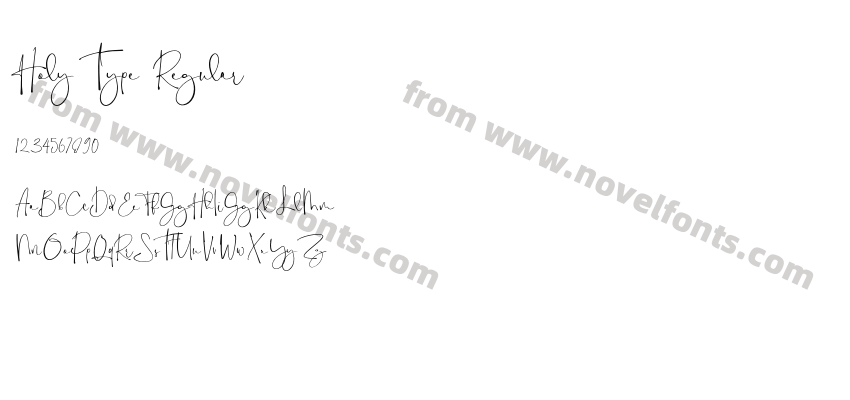 Holy Type RegularPreview