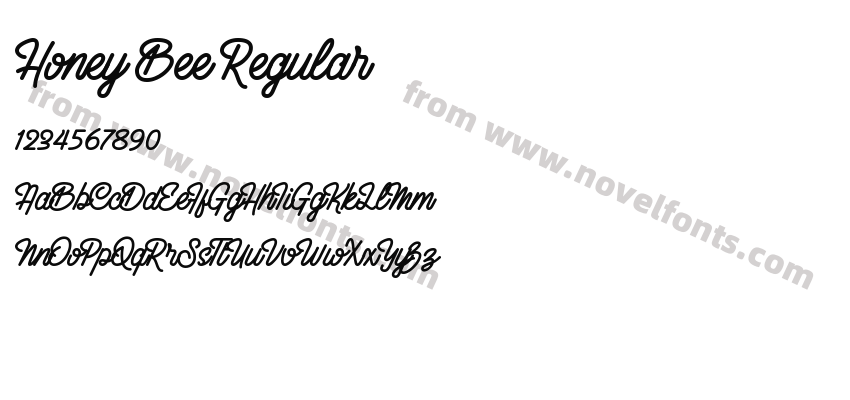 Honey Bee RegularPreview